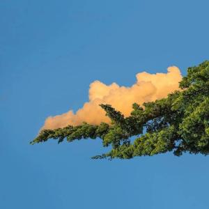 国产拍⭕⭕⭕拗女
